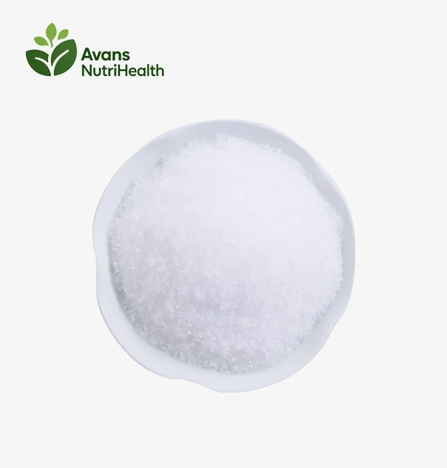 Xylitol Powder Bulk